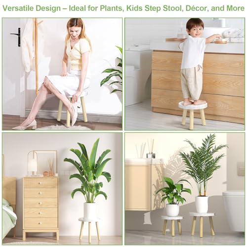 3 Pack Wood Plant Stands Indoor (White Tray with Wood Color Legs / 3 Pack)