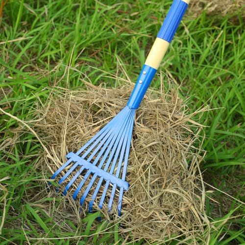 Kids Rakes with Hardwood Handle