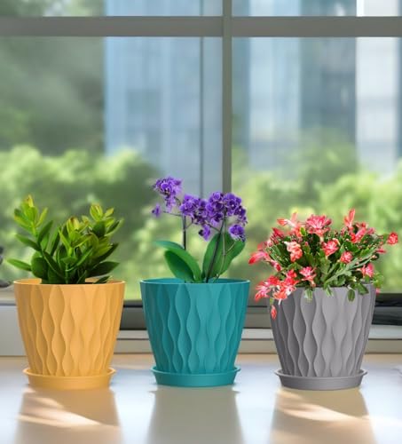 6 Inch Plant Pots (Colorful / 6inch)