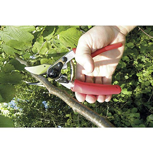 F 12 Pruning Shears