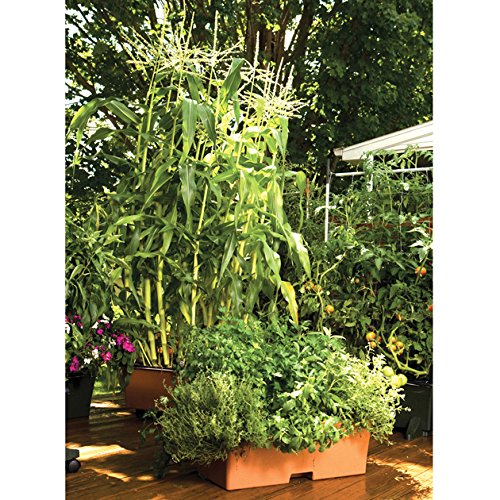 Container Gardening System