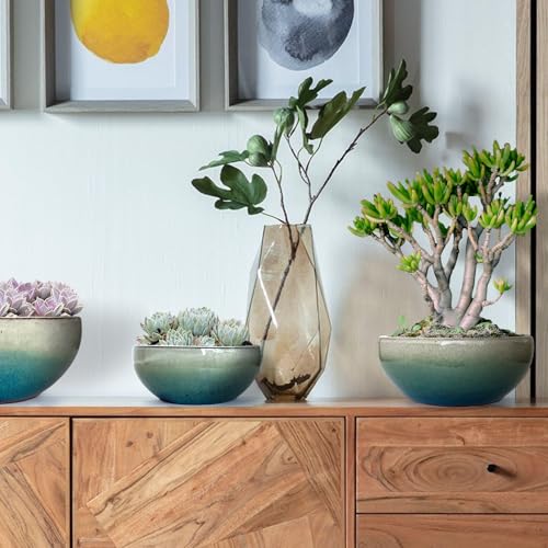 11 9 7 Inch Succulent Pot with Drainage and Mesh Pads Large Round Ceramic Plant Pot for Indoor Outdoor Plants Succulent Planter Cactus Bonsai Pot Container Set of 3 (3 Count)