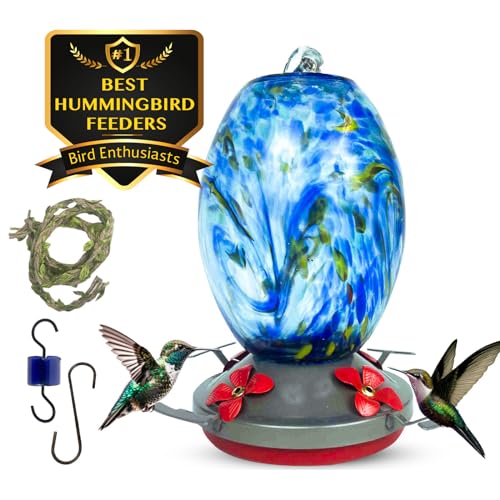Glass Hummingbird Feeder for Outdoors