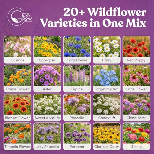 Bulk Wildflower Seed (16 Ounce)