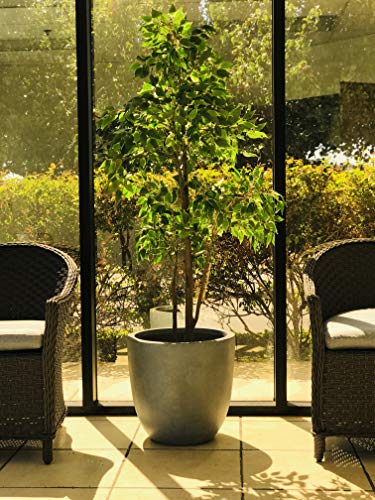 Blue Gray Concrete Planter 10" Dia All (Slate Gray / 10"d)