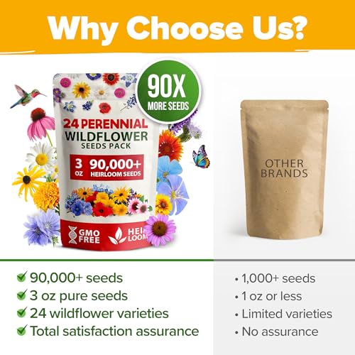 Wildflower Seeds Bulk Mix