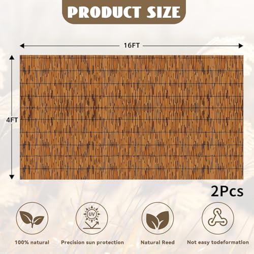 Bamboo Reed Fencing (4 x 16 FT (2 Pcs) / Light Russet)