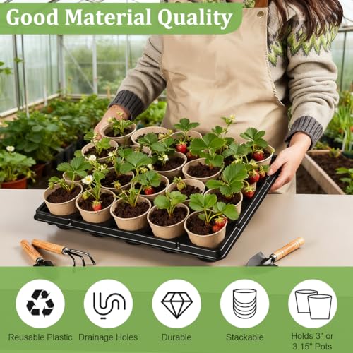 3.15 Inch Peat Pots 100 Pcs with 20 Cell Seedling Trays 5 Pcs (5 Count)