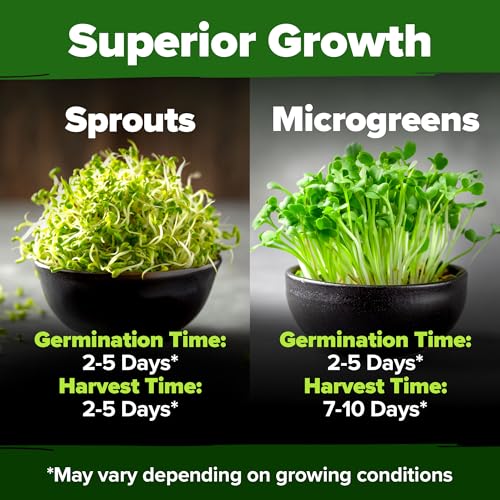 Non GMO Alfalfa Sprout Seeds 16oz Bulk Pack with Thousands of Seeds Alfalfa for Sprouting & Microgreens Indoor Outdoor Growing Resealable Bag High Germination (16 Ounce)