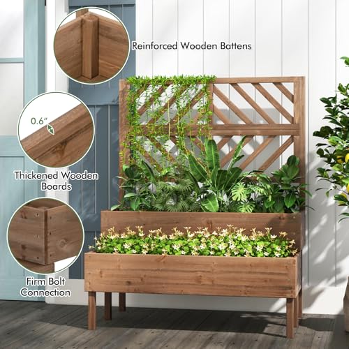 Raised Garden Bed with Trellis & 2 Planter Boxes