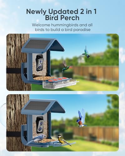 Bird Feeder with Camera Solar Powered