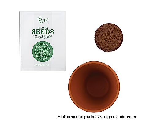 Seeds Lavender Grow Kit 20 (20 Count)