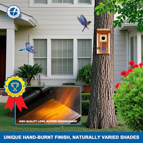 2 Pack Bluebird House