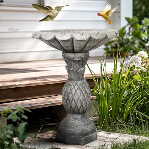 24.8" H Cement Modern Outdoor Bird Bath