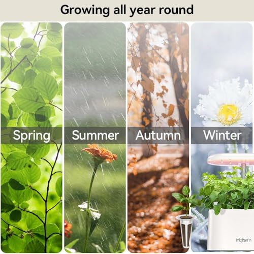 Fragrant Bouquet Seed Pod Kit for AeroGarden (12 Pod)