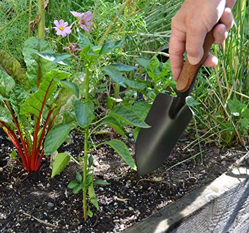 Garden Tool Set