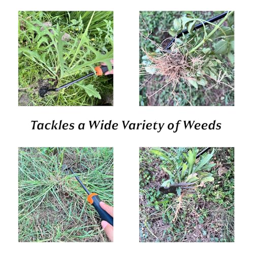 Hand Weeding Tool