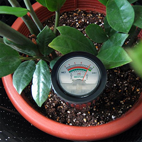 Soil PH Meter