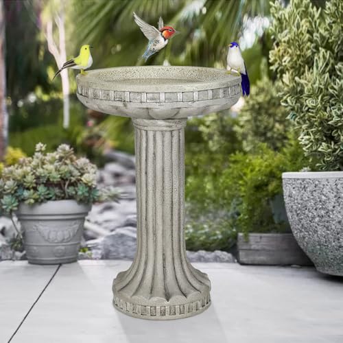 24" H Outdoor Bird Bath for Garden (Modern)