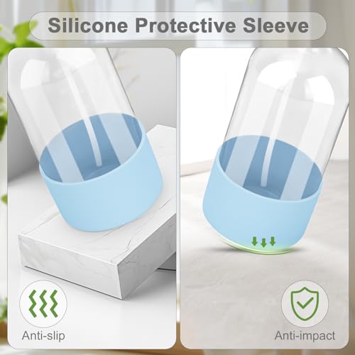 Glass Spray Bottles (2 Count)
