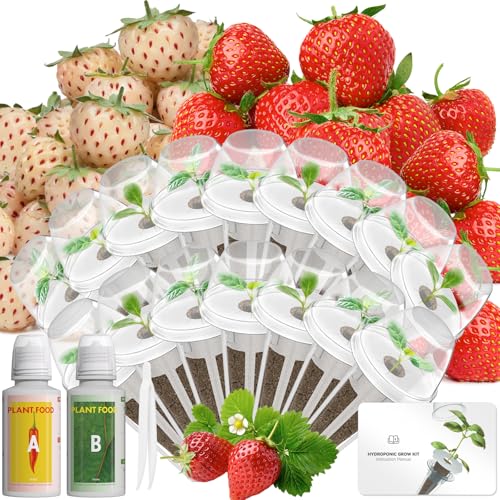 Herb Seed Pod Kit Compatible with AeroGarden Hydroponics Growing System (16 Pod)