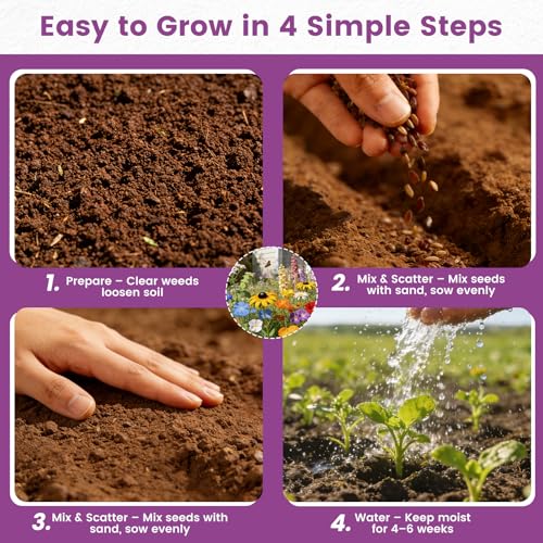 Wildflower Seeds Bulk Mix