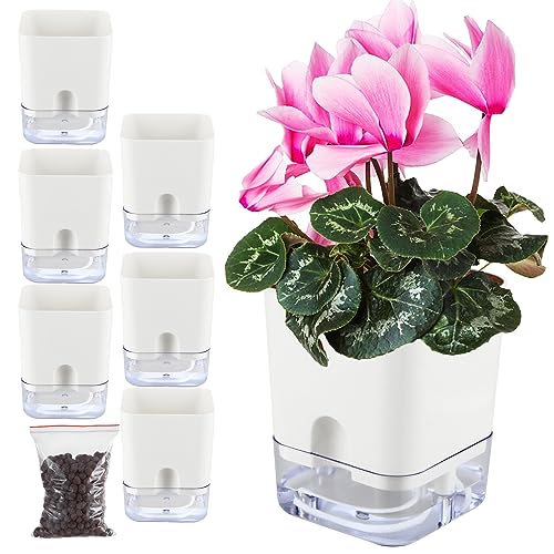 6 Pack 5.5 Inch Self Watering Plant Pots for Indoor Plants