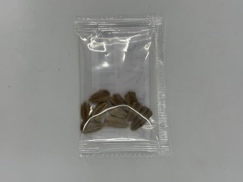 10 Dipper Gourd Seeds