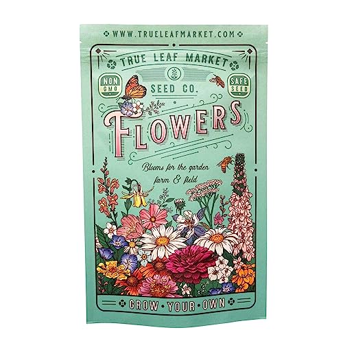 Mountain Valley Seed Co Wildflower Southeastern Flower 1 Lb 640 (16 Ounce)