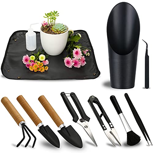 11Pcs Succulent Tools