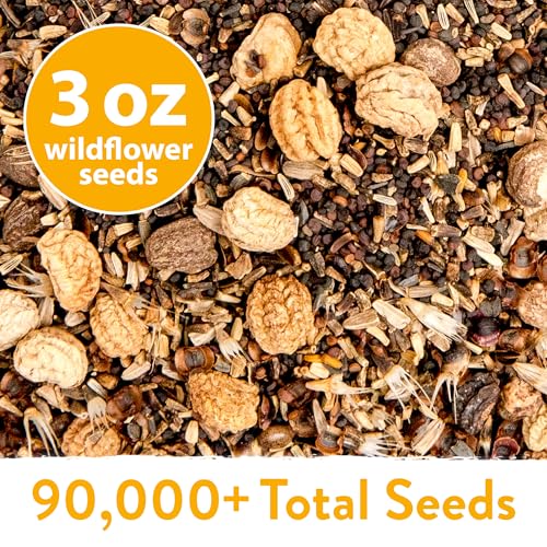 Wildflower Seeds Bulk Mix