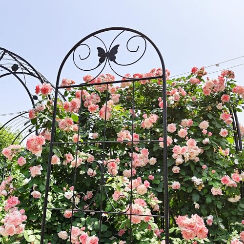 2 Pack Garden Trellises with Black Metal Coating