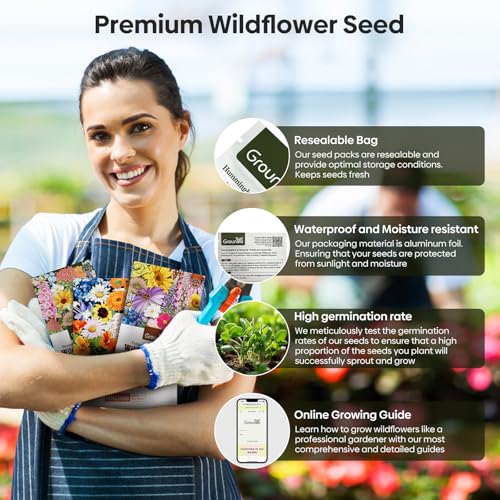 25 000+ Wildflower Seeds Mix 1 Oz