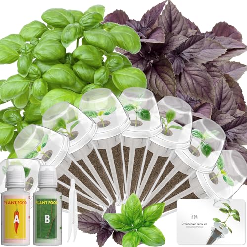 Herb Seed Pod Kit Compatible with AeroGarden Hydroponics Growing System (8-pods / Basil)
