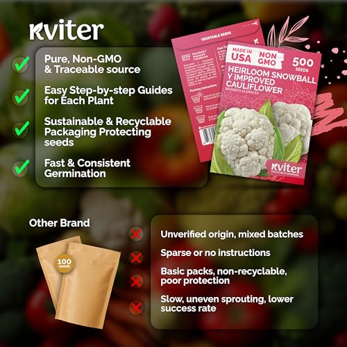 500 Snowball Y Improved Cauliflower Seeds for Planting