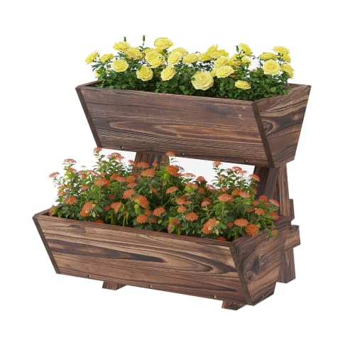 Vertical Garden Planter 2 tier Raised Garden Bed Tiered Wood Planter Box (Carbonized / 2-Tier-Small)