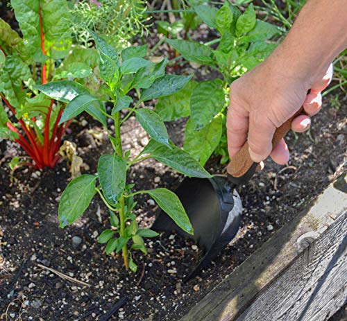 Garden Tool Set