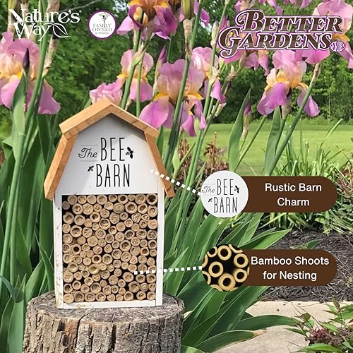 Wooden Bee House for Outdoor Décor