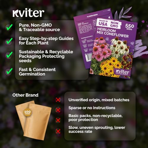 550 Mixed Coneflower Seeds for Planting
