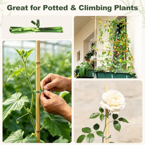 Natural Bamboo Poles (3FT-25PCS)