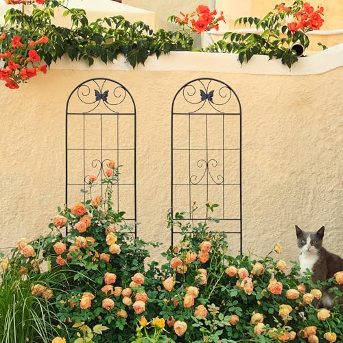 2 Pack Garden Trellises with Black Metal Coating