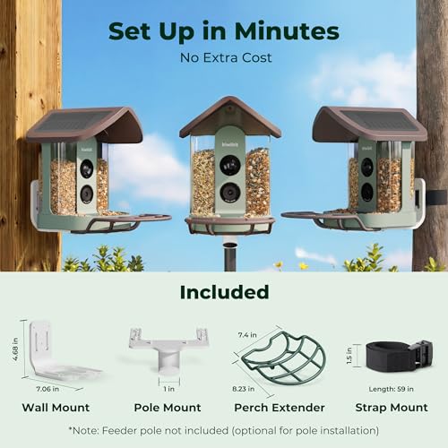 Solar Smart Bird Feeder with Camera