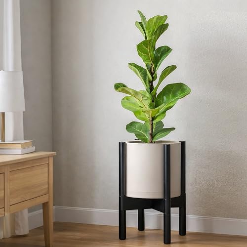 Plastic Pot with Ebony Wood Stand (Oatmeal Pot + Ebony Stand / 8 Inch)