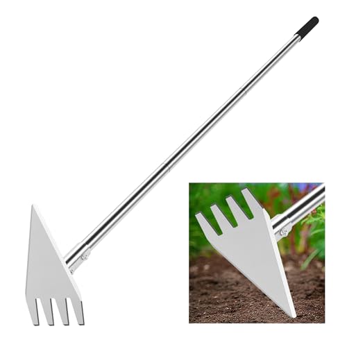 2‑in‑1 Garden Hoe & Weed Rake with Long Handle for Weeding