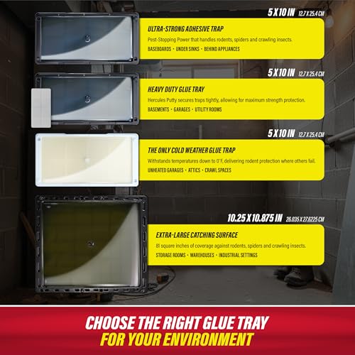Rat & Mouse Glue Traps 8 Pack (8 Regular)