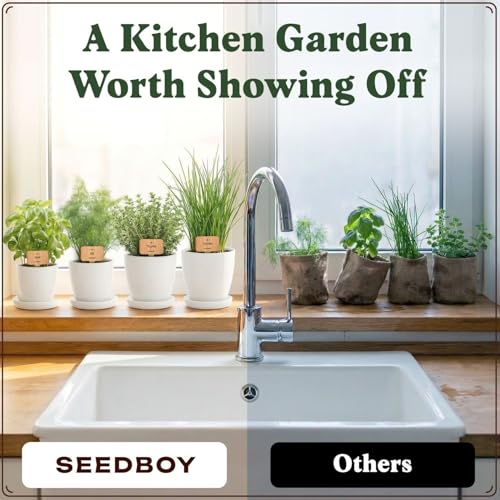 Organic Non GMO Herb Seeds for Planting