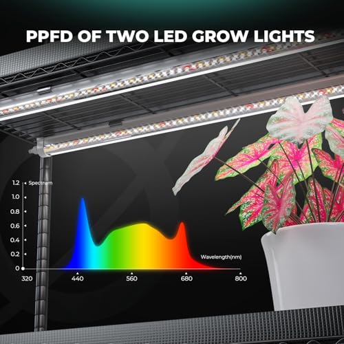 Indoor Grow Station with Grow Lights
