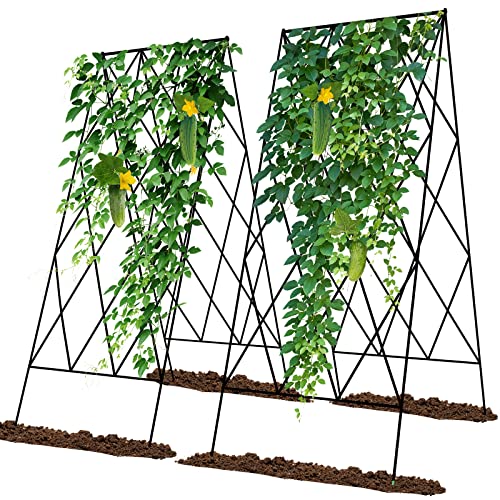 Cucumber Trellis 2 Pack (Black / 39.4" H)
