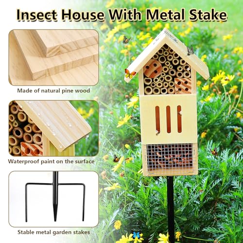 Wooden Insect House