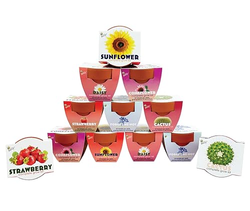 Seeds Assorted Flower Grow Kit 12 (12 Count)